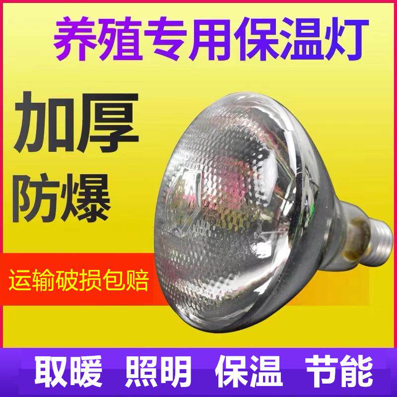 家用专用加热保温灯柯尔鸭专用取暖灯小黄鸭加热灯烤灯育雏保温灯