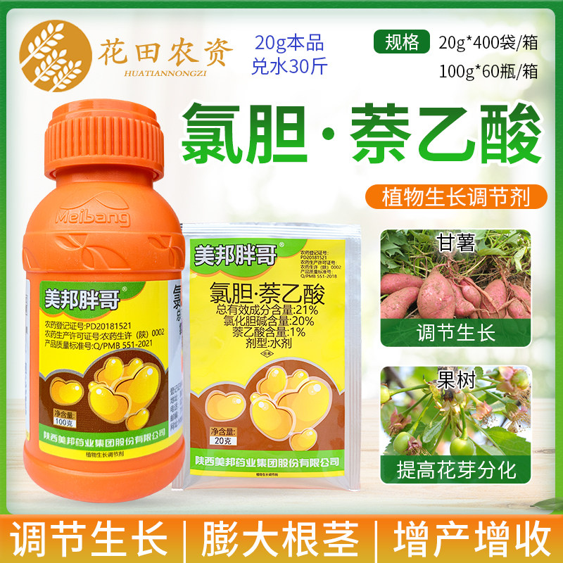美邦胖哥21%氯化胆碱萘乙酸番薯生姜洋葱大蒜生长调节剂膨大剂