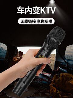 other/其他 other闲鱼二手市场汽车电视电脑k歌家庭ktv 蓝牙手机