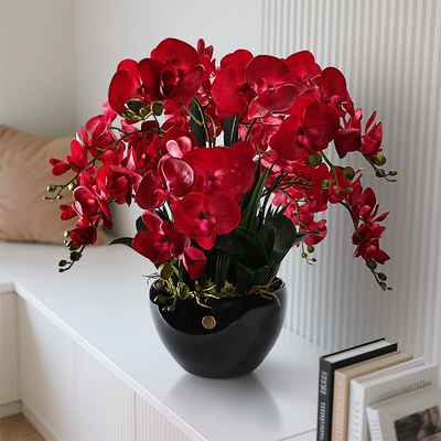 法国COTE NOIRE蝴蝶兰居家摆件持久留香高级感无火香氛花生日礼物