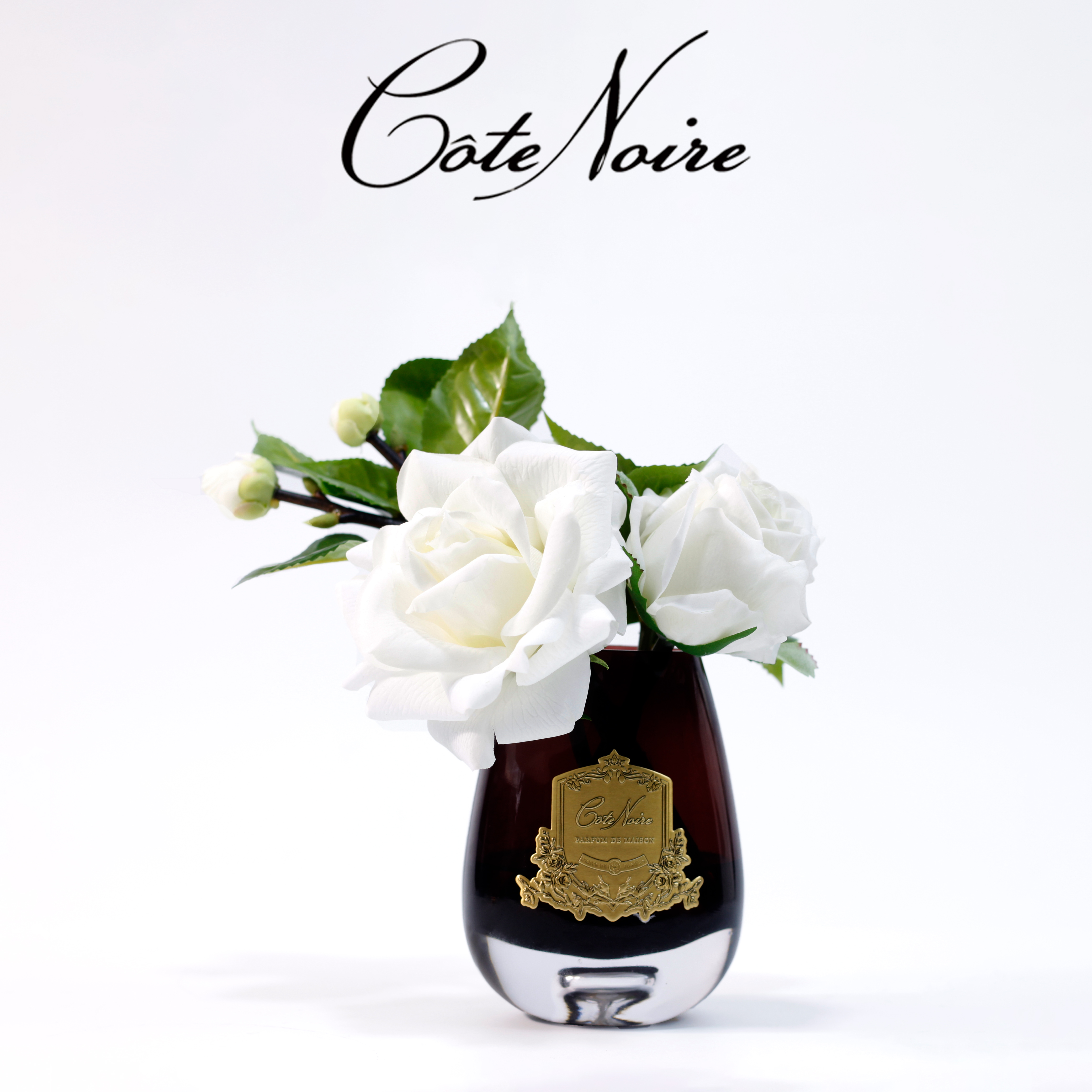 COTE NOIRE法国香氛花新朝露玫瑰香薰持久留香房间卫生间客厅卧室
