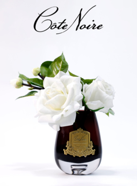 COTE NOIRE法国香氛花新朝露玫瑰香薰持久留香房间卫生间客厅卧室