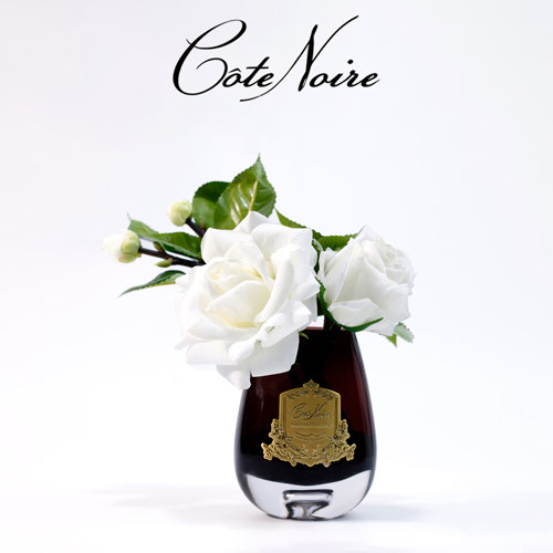 法国COTE NOIRE香氛花新朝露玫瑰香薰持久留香房间卫生间客厅卧室