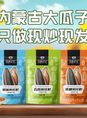 真心爱客内蒙原味香瓜子大颗粒葵花籽五香焦糖原味炒货零食500g