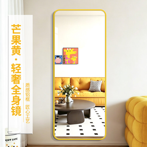 【顺丰包邮】多巴胺色全身穿衣镜