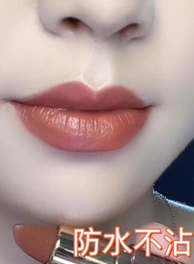 李佳琪直播正品不沾杯不掉色肉桂奶茶色口红哑光防水持久滋润