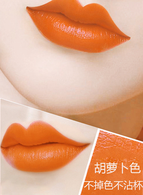 新款胡萝卜色口红不掉色不沾杯防水肉桂奶茶豆沙正品大牌旗舰店