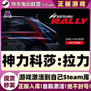 Steam正版神力科莎拉力激活码CDKey入库Assetto Corsa Rally全DLC