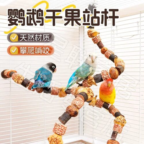 宠大条】鹦鹉玩具啃咬攀爬爬梯站杆鸟笼配件磨牙健齿牡丹玄凤益智