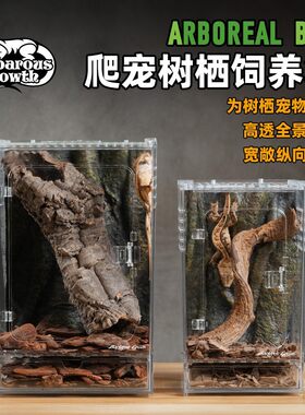 BG老爷树蛙亚克力玻璃宠