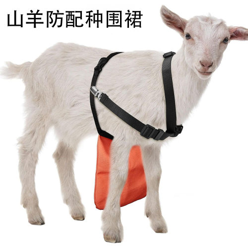 亚马逊跨境新款公羊防配