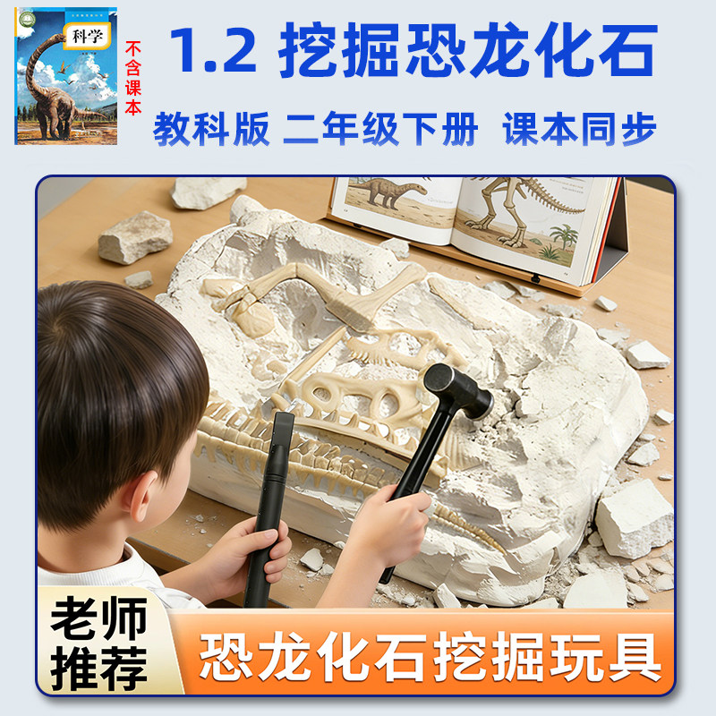 恐龙化石考古挖掘玩具二年级下册图片