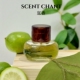 SCENT CHANT宣香香水杜松金汤力绿羊毛珍珠之脊桂花冰酒试香小样