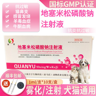 宠物地塞米松磷酸钠注射猫鼻支雾化猫狗咳嗽消炎退热呼吸道抗过敏