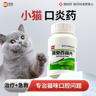 小猫口炎用药阿莫西林特消炎药效宠物牙周炎口腔溃疡流口水专用药