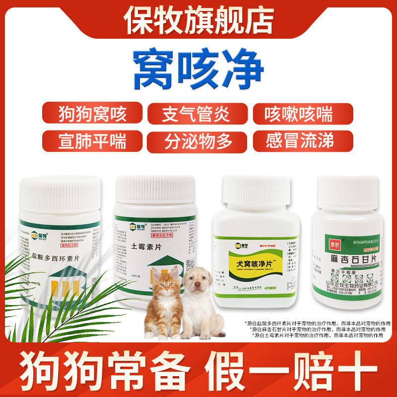 窝咳净犬窝咳专用药宠物狗狗猫咪咳嗽干呕流涕感冒卡咳气喘支气管,宠物/宠物食品及用品,猫呼吸道疾病药品,淘宝优惠券,粉丝福利购,淘宝优惠卷