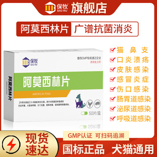 宠物专用阿莫西林片猫咪狗狗用鼻支感冒流鼻涕口炎感染伤口消炎药