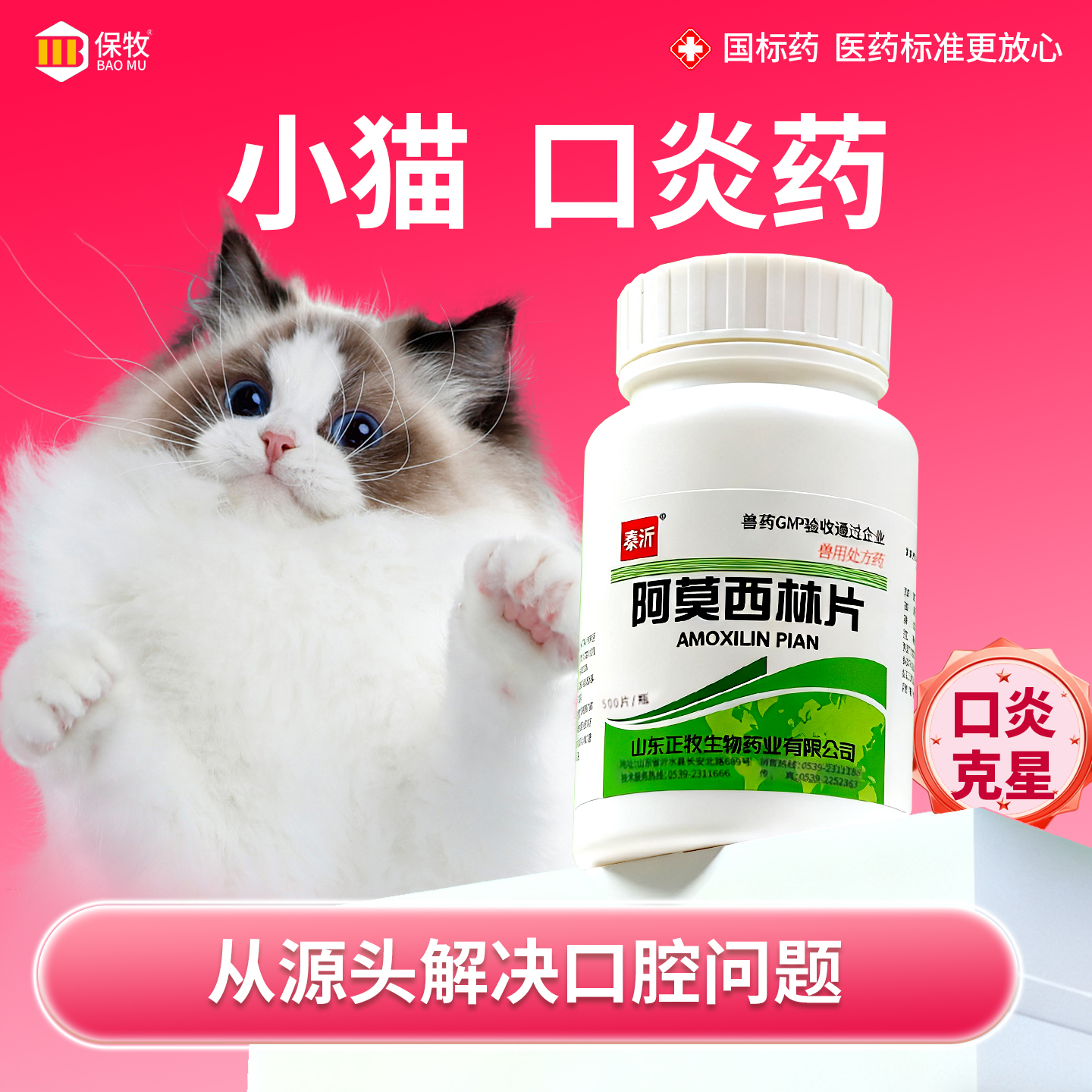阿莫西林小猫口臭牙周炎消炎药