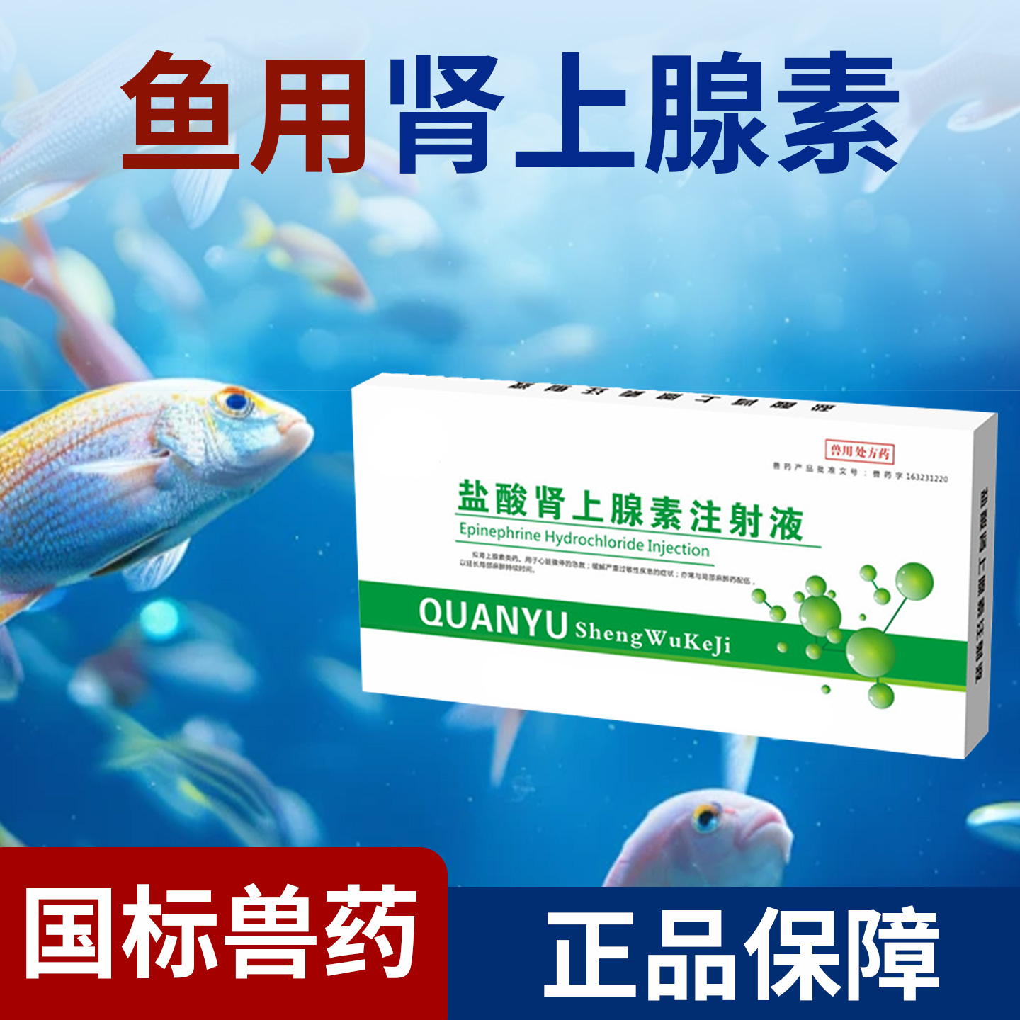 鱼用肾上腺素盐酸肾上腺素注射剂
