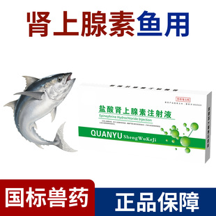 盐酸肾上腺素鱼用钓鱼动物兽用强心注射剂注射液过敏疾病正品 兽药
