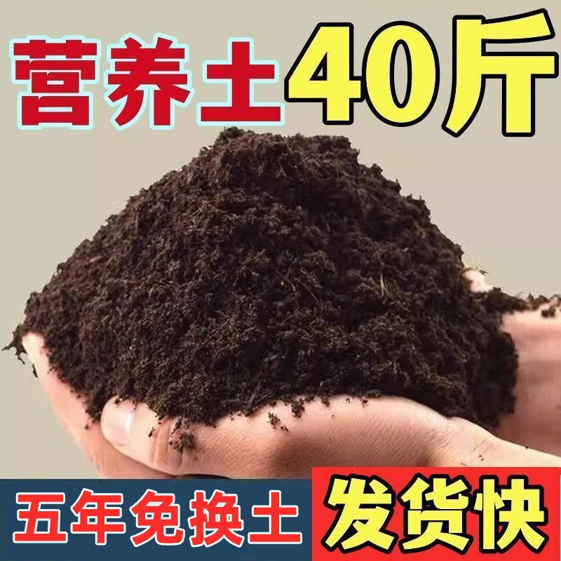 40斤营养土通用型专用家用花泥养花专用绿植种花种菜有机营养土图片