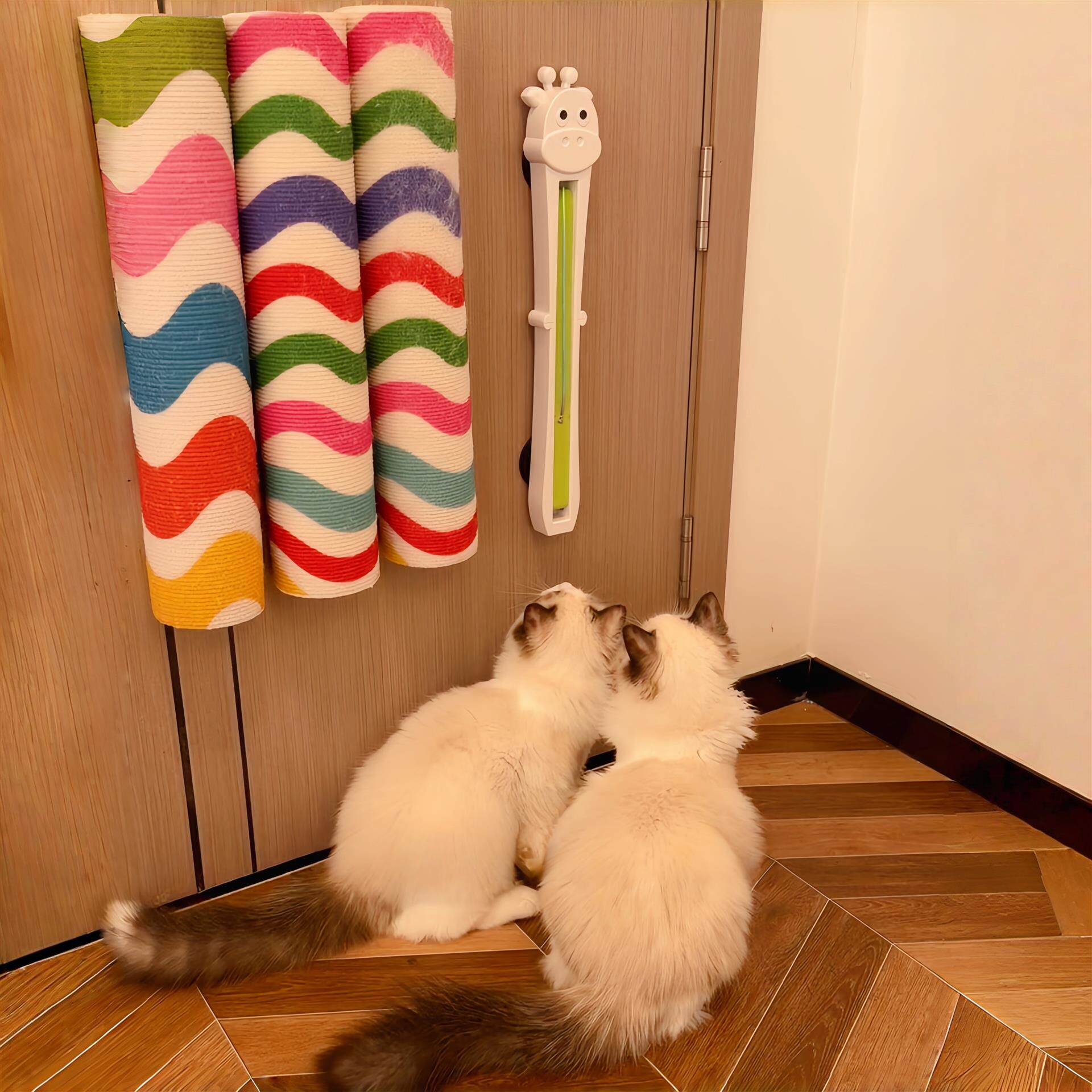 宠物猫咪玩具全自动逗甩绳