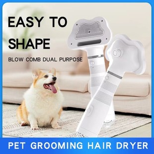 Pet hair dryer, pet grooming comb, pet hair dryer, high win