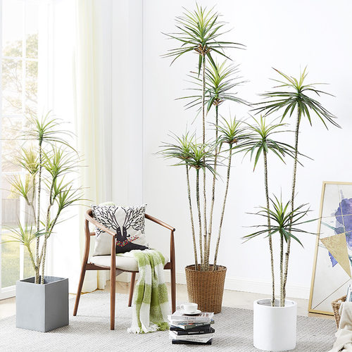 Narrow leaved agave simulation green plant potted plant bio