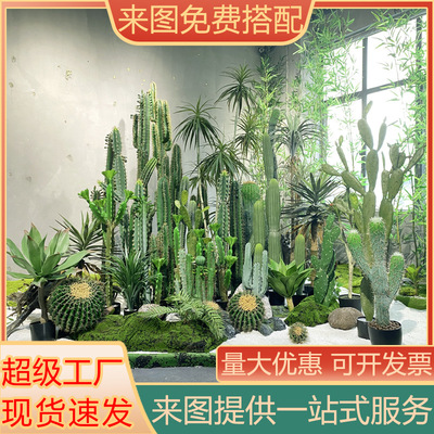 Nordic Large scale Simulation Cactus Pottery Tropical Deser