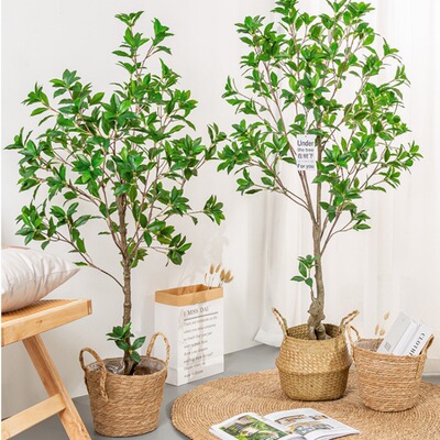 Simulated green plants, horse drunk wood, indoor living roo