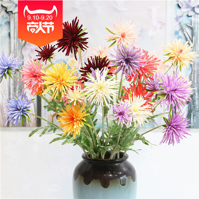 3 Hair Plants, Crab Claw Chrysanthemum, 3 Wedding Dresses,