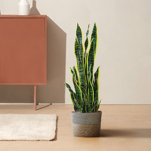Nordic style tiger skin orchid simulation plant potted indo