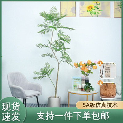 Blue Jacaranda simulation green plant high-end light luxury