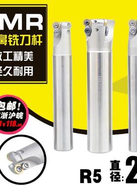 数控圆鼻铣刀杆 加硬白色25R5圆杆 EMR C25-5R25-150-200L-2T