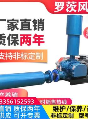 章豪三叶罗茨鼓风机 山东章丘 真空泵增氧鱼塘 污水处理 SR65型