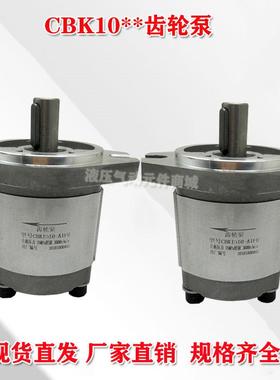 液压齿轮泵CBK1016 CBK1012 CBK1020 CBK1025-B1FR B1FL A1FR油泵