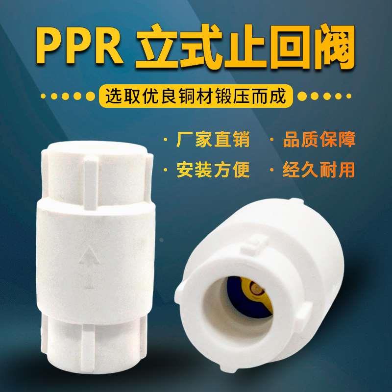 PPR立式止回阀单向阀4分6分20/25PP-R水管止逆阀弹簧铜芯立式止回