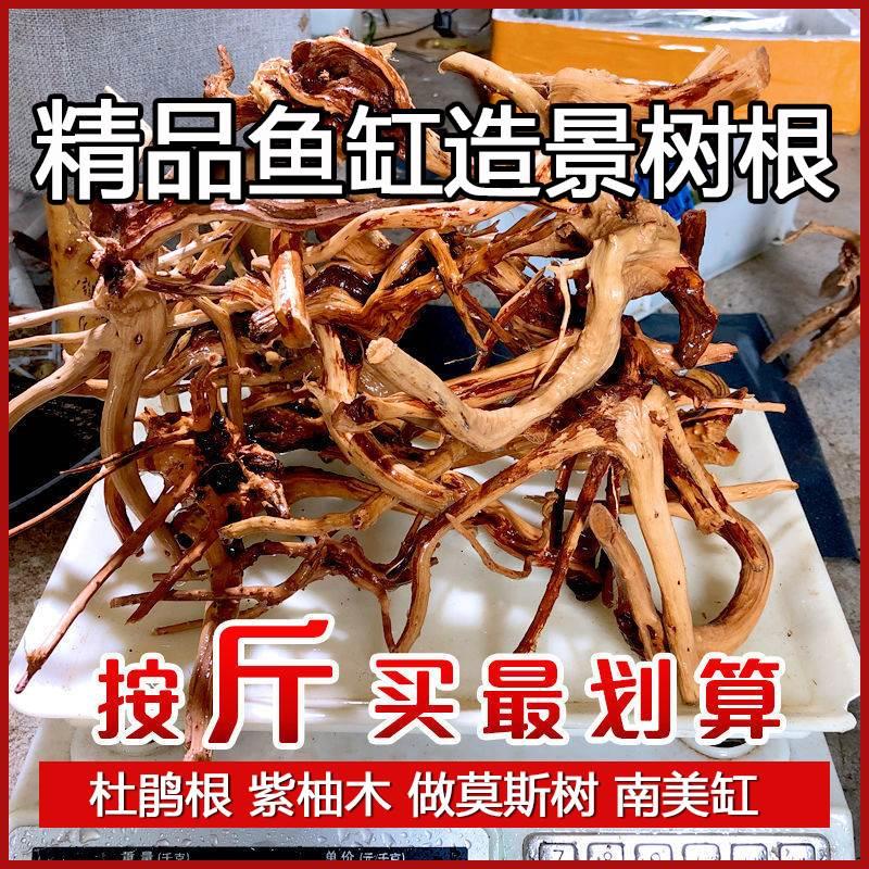 沉木造景紫柚木杜鹃根盆栽虾龟鱼插花水草鱼缸微景观根雕摆件爬台