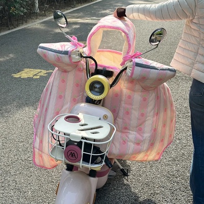 电动车亲子挡风被带小孩加大加厚
