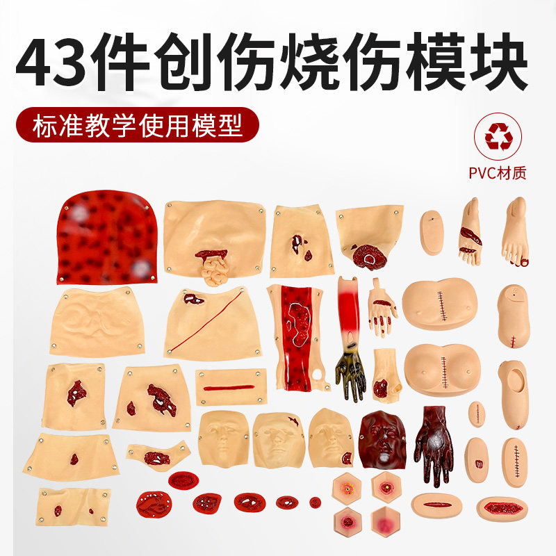 美善模型创伤评估模块教学