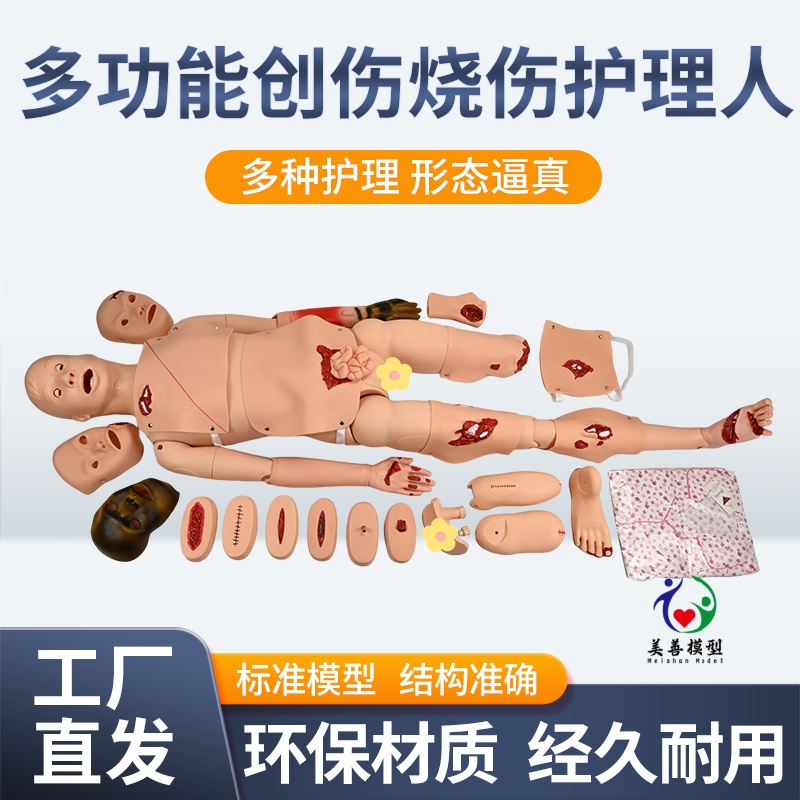 美善模型全功能模拟假人教学