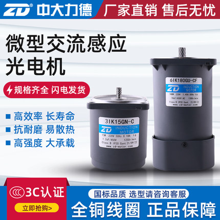 ZD中大微型交流光电机6/10/15/25/40/60/90/120/200W齿轮减速马达