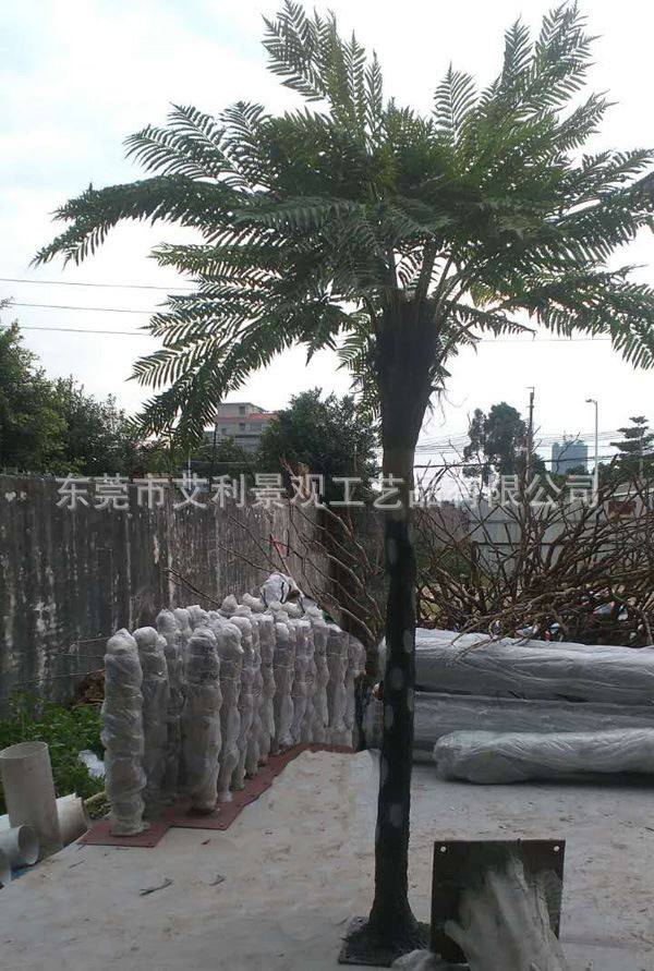 仿真绿植桫椤树 热带雨林人造工程植物树庭院大型落地仿真假树