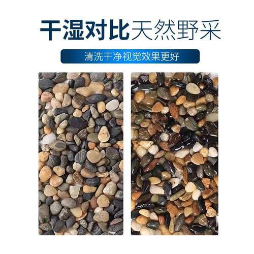 鱼缸AA750912原流石底溪砂造景沙沼泽滤龟缸豆石大过叽沙天然生生