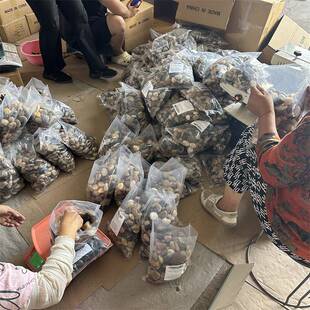 色雨花石园造景工黑程林铺路景观黑雨色石子黑色20230724精抛花石