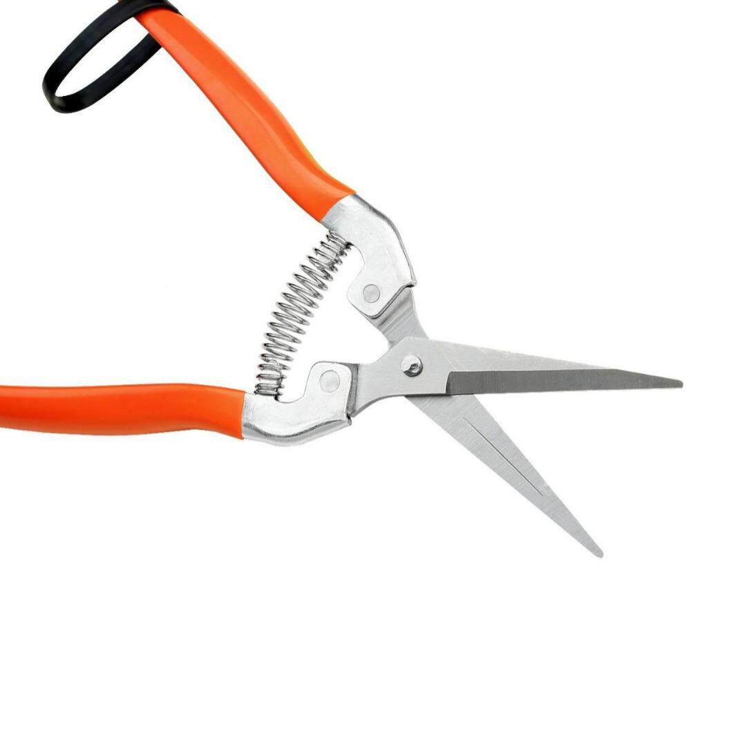 不锈钢EEE尖头葡萄专用摘果剪刀工剪业修花果蔬采摘枝剪刀枝修条