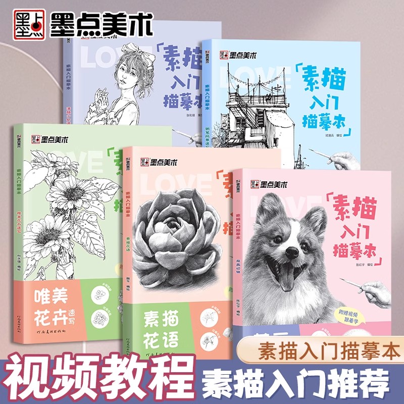 墨点素描入门临摹本零基础入门初学者临摹教材书视频教学静物花卉人物动物铅笔绘画画册美术技法小白自学绘画铅笔画手绘临摹本画册