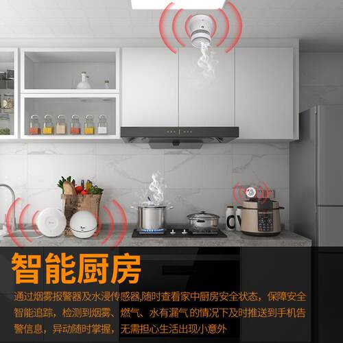 水涂鸦智能家居传感器门磁烟燃气温浸湿度报警Xenonsm器智能人体
