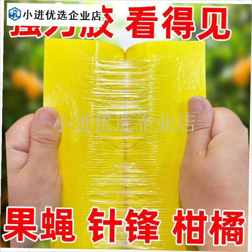 瓜果实蝇a粘虫板针锋黄金锋纸大棚果园柑橘果树菜园板大果蝇诱捕\