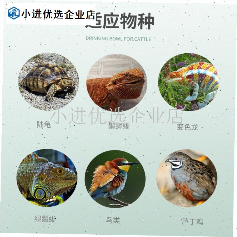 陶瓷加热灯鹦鹉陶瓷保r温灯芦丁鸡爬宠鱼缸无光宠物取暖灯加热灯/